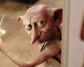 Life Of Dobby Dobby Origins Explained