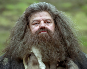 Hagrid's Secret: Why He's Not Really Poor After All