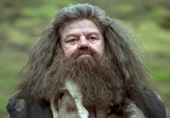 Hagrid's Secret: Why He's Not Really Poor After All