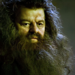 The TRUTH About Hagrid’s Parents REVEALED