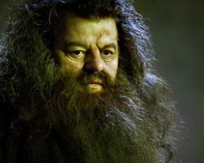 The TRUTH About Hagrid’s Parents REVEALED