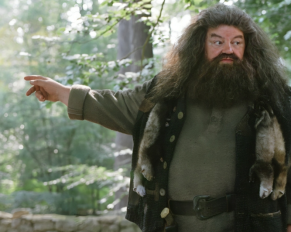 What really happened to Hagrid's wand? The answer will shock you!