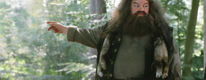 What really happened to Hagrid's wand? The answer will shock you!