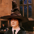 Unveiling the Sorting Hat: Could All Hogwarts Students End Up in One House?