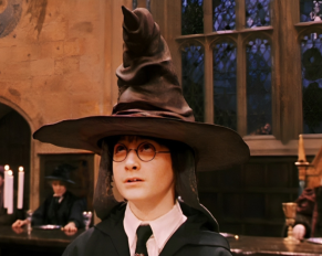 Unveiling the Sorting Hat: Could All Hogwarts Students End Up in One House?