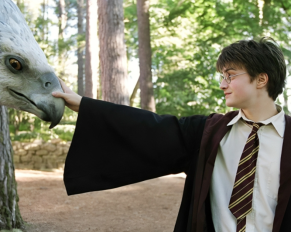 Discover Secrets of the Wizarding World: Unveiling Major Events Before Harry Potter