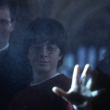 The Hidden Truth About Blood Status in the Wizarding World