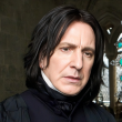 The Real Reason Snape Hated Harry: It’s Not What You Think!