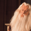 Why Dumbledore Hid a Secret in the Mirror: 7 Shocking Truths Harry Missed