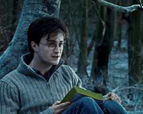 Did Voldemort Even Know About the Deathly Hallows?