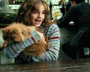 The Hidden Meaning Behind Hermione’s Cat Crookshanks