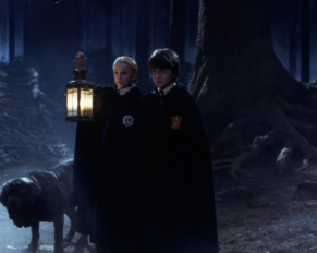 Why the Forbidden Forest Is More Important Than You Realize