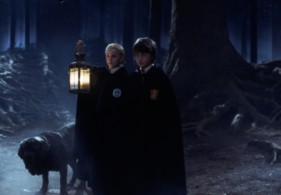 Why the Forbidden Forest Is More Important Than You Realize