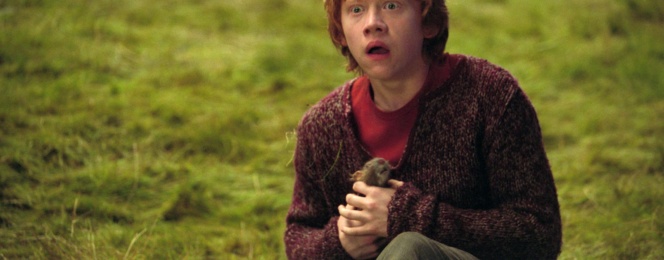 Why Ron’s Broken Wand Wasn’t an Accident